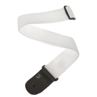 D'ADDARIO PWS108